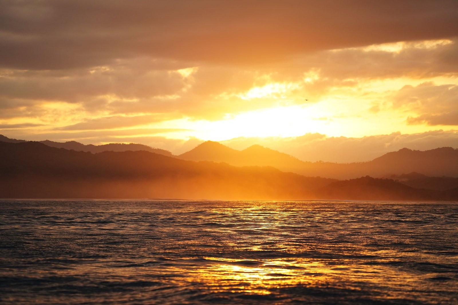 Ocean Views - Image 5
