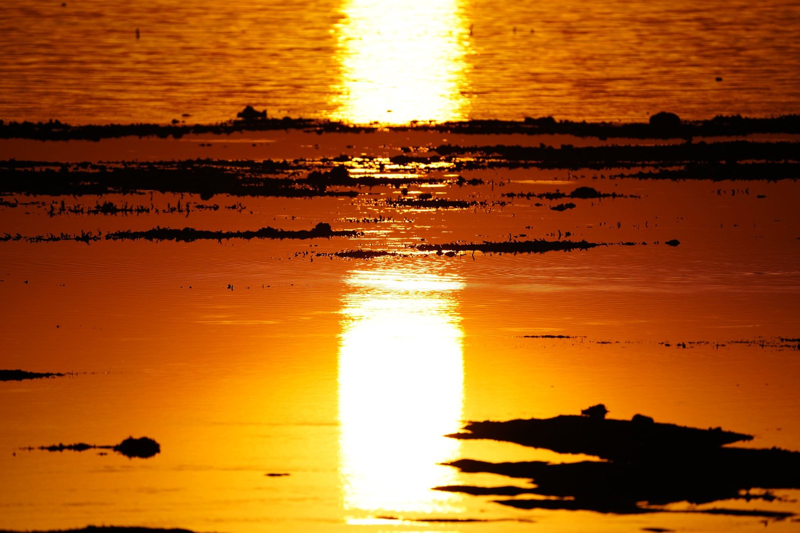 Ocean Views - Image 6