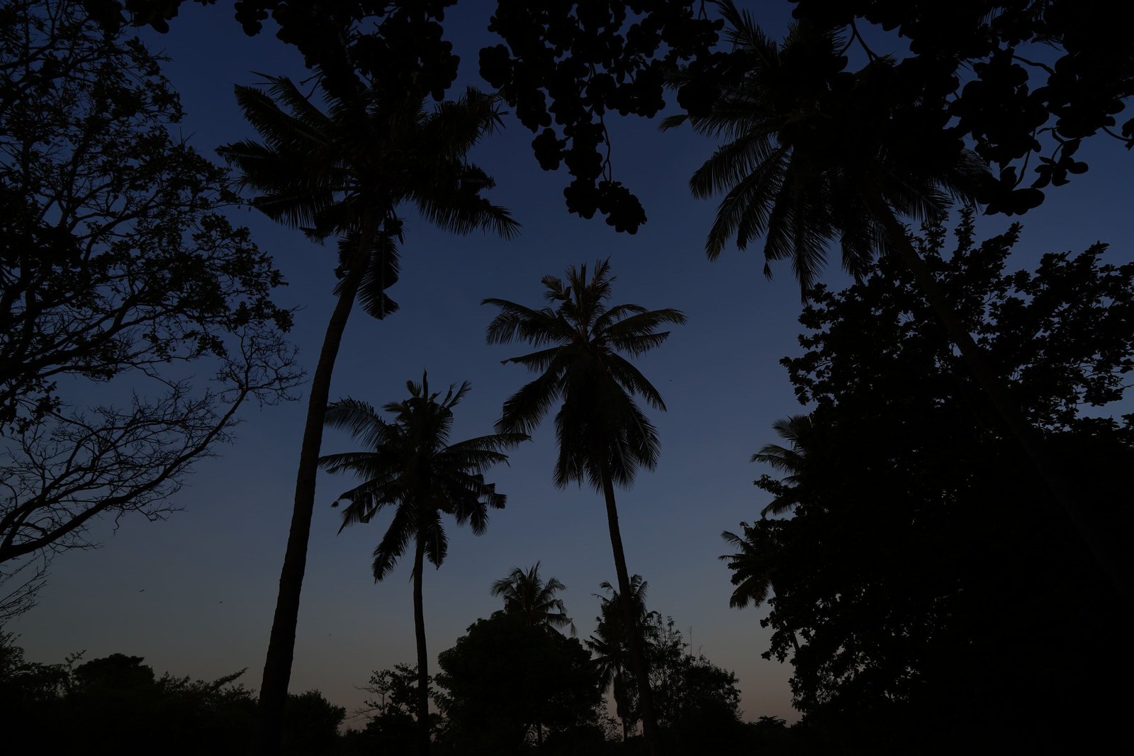 Peaceful Settings - Image 12