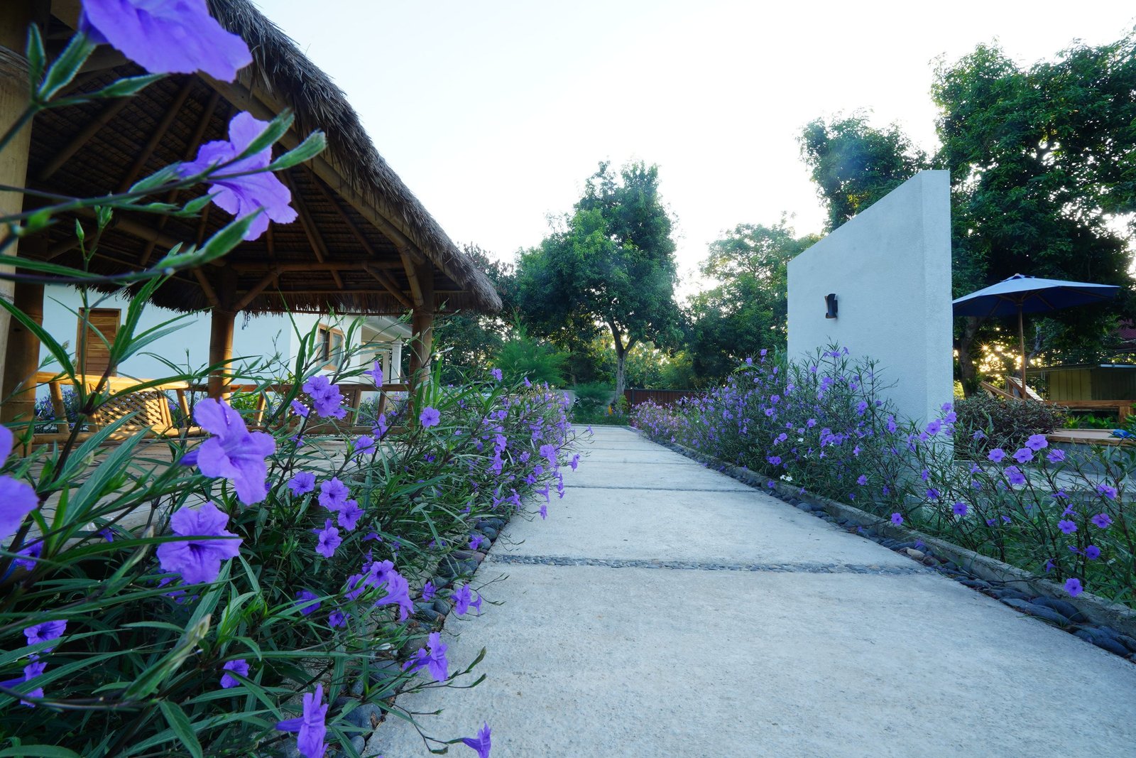 Garden path between the villas